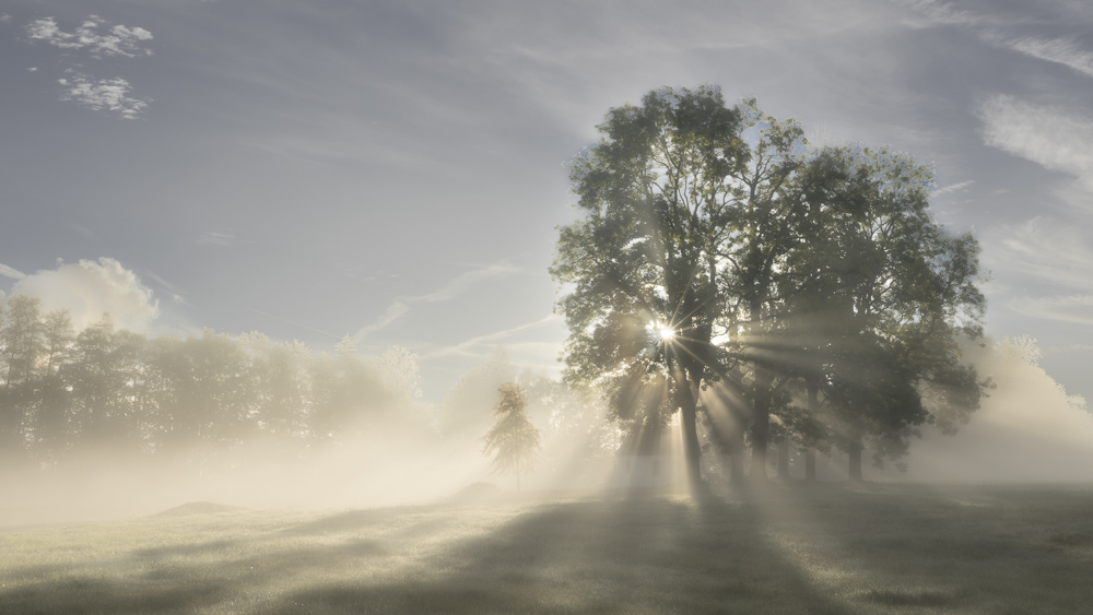 Platz 6 Anton Kienle